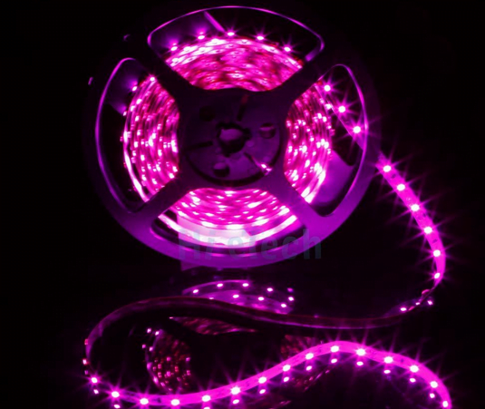 1 Meter 60 Bulbs Waterproof LED Light strip 12V (Pink Purple) 3528-60P(wp)
