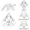 399e95c1d7719e8831e704df65472ccc.jpeg BetaFPV Micro Canopy For Walksnail Avatar HD /HDZero Camera Compatible With Meteor65/65 Pro/75/75 Pro/85 BT-Micro HD